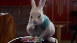 比得兔2：小兔子偷吃糖果，好吃到跺脚脚，太可爱了