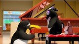 贝肯熊玩非洲鼓 企鹅紧张得大汗淋漓