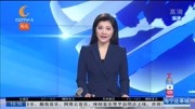  陕西:女子花万元办假证开车上路被拘