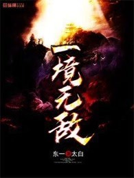 一境无敌