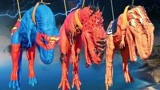 侏罗纪世界恐龙争霸战：超人霸王龙、红色霸王龙和小悟空巨龙