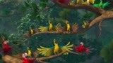 里约大冒险：鸟儿们的欢快生活，被人类给毁灭了！