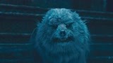 昆仑神宫：全剧最凶险片段，胡八一水晶自在山遇险，初一血战狼王