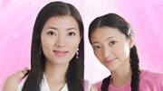 莲花闹海棠