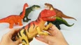 大型恐龙和各种恐龙玩具