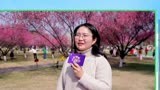 你听说过放疗吗？ 健康知识大调查