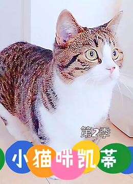 小猫咪凯蒂 第2季