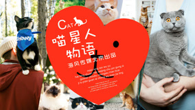 首部中国宠物猫纪录片：喵星人物语