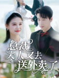 大佬，夫人又去送外卖了