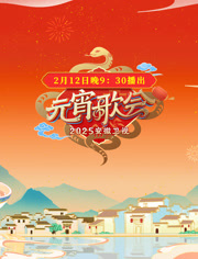 2025安徽元宵晚会