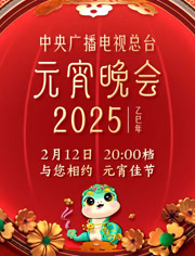2025年中央广播电视总台元宵晚会