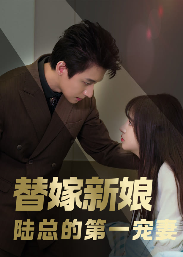 替嫁新娘陆总的第一宠妻