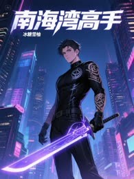 南海湾高手