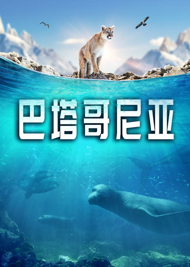 巴塔哥尼亚