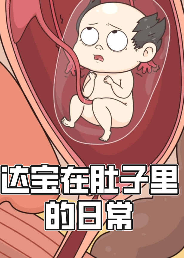 达宝在肚子里的日常动态漫画