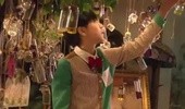 蒲公英的约定