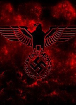 纳粹的崛起  The Rise of the Nazi Party