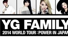YG FAMILY WORLD TOUR in Japan 演唱会完整版 14/12/13