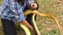 惊险！秘鲁女汉子徒手活捉3米长蛇引尖叫