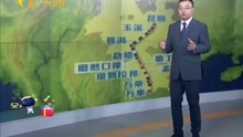 云南：中老国际铁路玉磨段全线开工