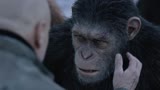 《猩球崛起3 》曼联“团队合作”定制宣传片