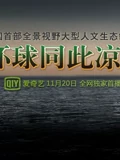 环球同此凉热}