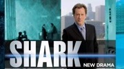 律政狂鲨第2季