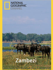 国家地理：赞比西河