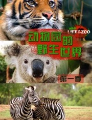 动物园的野生世界第1季