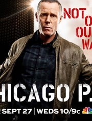 芝加哥警署第5季