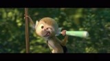 森林的猴子把电动牙刷捅进了耳朵里