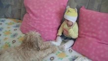 宝宝不怕狗，好厉害！