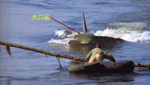 3分钟看美国经典恐怖片《大白鲨2》，母鲨复仇之战