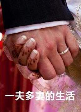 [图]一夫多妻的生活