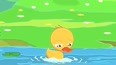 鸭子学游泳