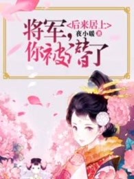将军，你后来居上