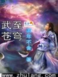 武至苍穹