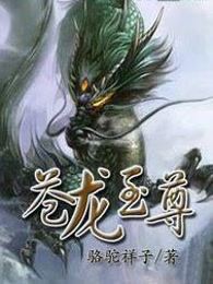 苍龙至尊
