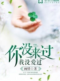 你没来过，我没爱过