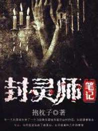 封灵师笔记