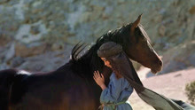 一匹桀骜不驯的黑马，是沙漠里的传说，却被一个小女孩训服