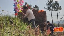 湖南人的清明节：东哥和老妈买了几株鲜花，娘俩一起去山上扫墓！