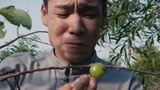 恋爱101度：王俊为了爱情勇往直前，却不知女朋友只是戏弄他