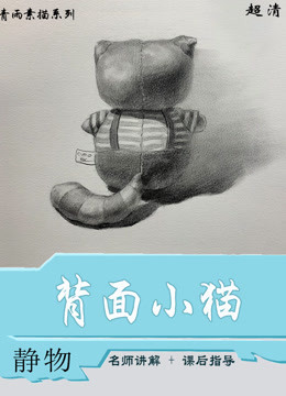 素描静物零基础入门教程背面小猫青雨素描在线课程- 课程搜