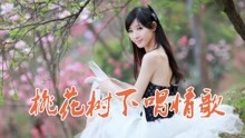 [图]一曲浪漫情歌对唱《桃花树下唱情歌》DJ版，动感十足，甜蜜醉人！