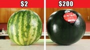 史上最贵的水果