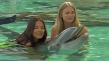 可爱小动物 Julie&Jessica与海豚共舞拍摄画报