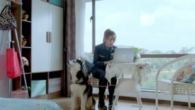 Watch the latest Hero Dog (Season 3) Episode 14 online with English subtitle for free English Subtitle