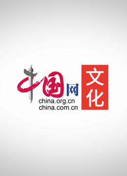 中国网文化纪录片——一看就停不下来的文化史