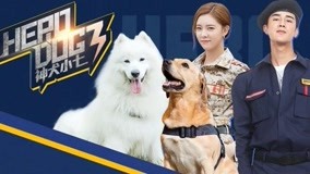 Watch the latest Hero Dog (Season 3) Episode 24 online with English subtitle for free English Subtitle